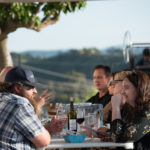 people enjoying wine at table