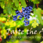 Taste the art with grape image